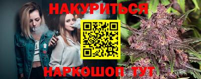 индика Аргун