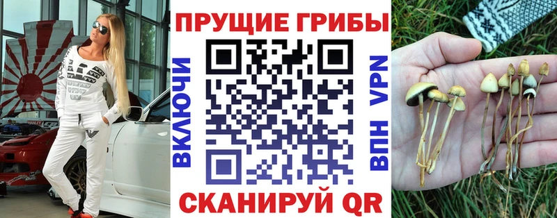 Галлюциногенные грибы Magic Shrooms  Апшеронск 