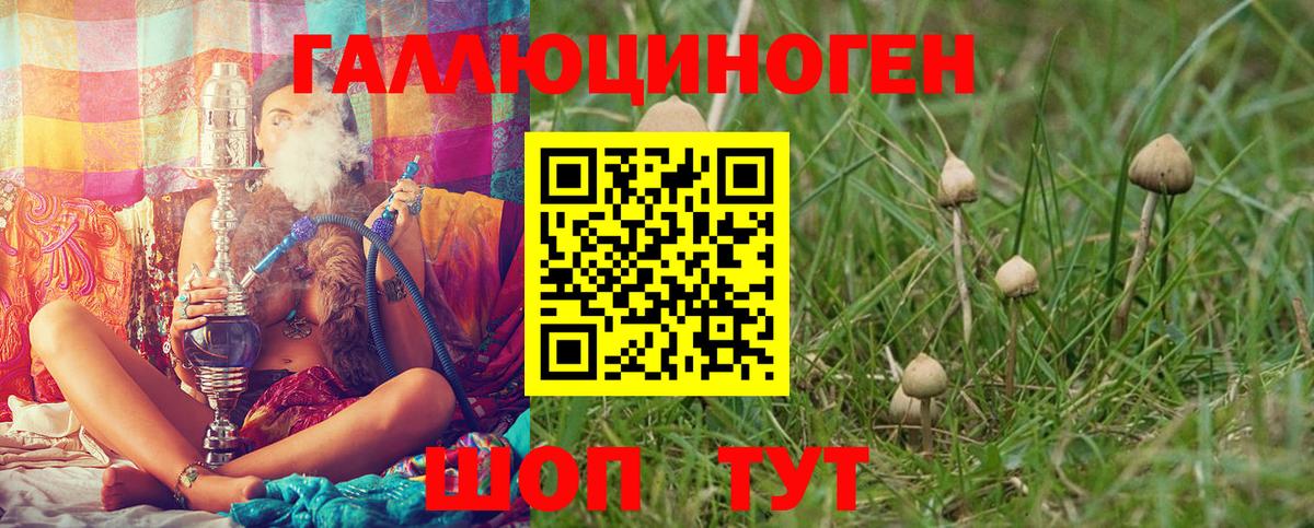Псилоцибиновые грибы мухоморы  Вход с VPN  Псилоцибиновые грибы прущие грибы  Апшеронск 