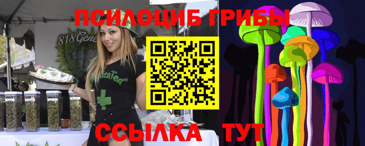 Псилоцибиновые грибы мицелий Апшеронск