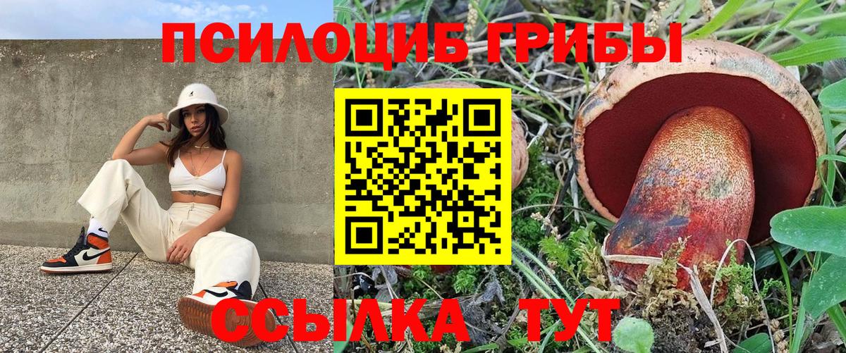 Галлюциногенные грибы GOLDEN TEACHER Апшеронск